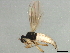  ( - BIOUG00899-H01)  @13 [ ] CreativeCommons - Attribution (2012) CBG Photography Group Centre for Biodiversity Genomics
