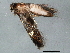  ( - BIOUG01602-C11)  @12 [ ] CreativeCommons - Attribution (2012) CBG Photography Group Centre for Biodiversity Genomics