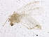  ( - BIOUG01881-G11)  @12 [ ] CreativeCommons - Attribution (2012) CBG Photography Group Centre for Biodiversity Genomics