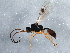  ( - BIOUG01638-H10)  @14 [ ] CreativeCommons - Attribution (2013) CBG Photography Group Centre for Biodiversity Genomics
