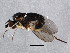  ( - BIOUG01686-A11)  @13 [ ] CreativeCommons - Attribution (2012) CBG Photography Group Centre for Biodiversity Genomics