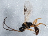  ( - BIOUG01688-A08)  @12 [ ] CreativeCommons - Attribution (2013) CBG Photography Group Centre for Biodiversity Genomics