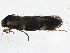  ( - BIOUG01690-D10)  @12 [ ] CreativeCommons - Attribution (2013) CBG Photography Group Centre for Biodiversity Genomics
