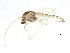  ( - BIOUG01696-F10)  @12 [ ] CreativeCommons - Attribution (2012) CBG Photography Group Centre for Biodiversity Genomics