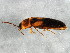  ( - BIOUG01641-B10)  @12 [ ] CreativeCommons - Attribution (2012) CBG Photography Group Centre for Biodiversity Genomics