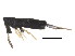  ( - BIOUG02130-G04)  @15 [ ] CreativeCommons - Attribution (2012) CBG Photography Group Centre for Biodiversity Genomics