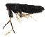  ( - BIOUG02130-G06)  @14 [ ] CreativeCommons - Attribution (2012) CBG Photography Group Centre for Biodiversity Genomics
