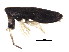  ( - BIOUG02130-G10)  @14 [ ] CreativeCommons - Attribution (2012) CBG Photography Group Centre for Biodiversity Genomics