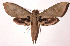  ( - 00-SRNP-7365)  @15 [ ] CreativeCommons - Attribution Non-Commercial Share-Alike (2003) Unspecified Guanacaste Dry Forest Conservation Fund