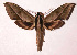  ( - 00-SRNP-842)  @15 [ ] CreativeCommons - Attribution Non-Commercial Share-Alike (2003) Unspecified Guanacaste Dry Forest Conservation Fund