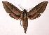  ( - 00-SRNP-9963)  @15 [ ] CreativeCommons - Attribution Non-Commercial Share-Alike (2003) Unspecified Guanacaste Dry Forest Conservation Fund