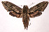  ( - 01-SRNP-11771)  @14 [ ] CreativeCommons - Attribution Non-Commercial Share-Alike (2003) Unspecified Guanacaste Dry Forest Conservation Fund