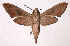  ( - 01-SRNP-11771)  @14 [ ] CreativeCommons - Attribution Non-Commercial Share-Alike (2003) Unspecified Guanacaste Dry Forest Conservation Fund