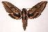  ( - 01-SRNP-21266)  @14 [ ] CreativeCommons - Attribution Non-Commercial Share-Alike (2003) Unspecified Guanacaste Dry Forest Conservation Fund