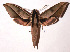  ( - 02-SRNP-15391)  @15 [ ] CreativeCommons - Attribution Non-Commercial Share-Alike (2003) Unspecified Guanacaste Dry Forest Conservation Fund