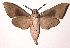  ( - 02-SRNP-15433)  @14 [ ] CreativeCommons - Attribution Non-Commercial Share-Alike (2003) Unspecified Guanacaste Dry Forest Conservation Fund