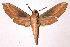 ( - 02-SRNP-1567)  @14 [ ] CreativeCommons - Attribution Non-Commercial Share-Alike (2003) Unspecified Guanacaste Dry Forest Conservation Fund