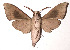  ( - 02-SRNP-15939)  @14 [ ] CreativeCommons - Attribution Non-Commercial Share-Alike (2003) Unspecified Guanacaste Dry Forest Conservation Fund