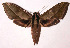  ( - 02-SRNP-16553)  @15 [ ] CreativeCommons - Attribution Non-Commercial Share-Alike (2003) Unspecified Guanacaste Dry Forest Conservation Fund
