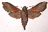  ( - 02-SRNP-16659)  @14 [ ] CreativeCommons - Attribution Non-Commercial Share-Alike (2003) Unspecified Guanacaste Dry Forest Conservation Fund
