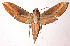  ( - 02-SRNP-1915)  @14 [ ] CreativeCommons - Attribution Non-Commercial Share-Alike (2003) Unspecified Guanacaste Dry Forest Conservation Fund