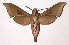  ( - 02-SRNP-23132)  @14 [ ] CreativeCommons - Attribution Non-Commercial Share-Alike (2003) Unspecified Guanacaste Dry Forest Conservation Fund