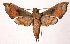  ( - 02-SRNP-23243)  @14 [ ] CreativeCommons - Attribution Non-Commercial Share-Alike (2003) Unspecified Guanacaste Dry Forest Conservation Fund