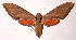  ( - 02-SRNP-23940)  @14 [ ] CreativeCommons - Attribution Non-Commercial Share-Alike (2003) Unspecified Guanacaste Dry Forest Conservation Fund