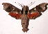 ( - 02-SRNP-3306)  @14 [ ] CreativeCommons - Attribution Non-Commercial Share-Alike (2003) Unspecified Guanacaste Dry Forest Conservation Fund