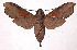  ( - 02-SRNP-3424)  @14 [ ] CreativeCommons - Attribution Non-Commercial Share-Alike (2003) Unspecified Guanacaste Dry Forest Conservation Fund