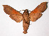  ( - 02-SRNP-35012)  @14 [ ] CreativeCommons - Attribution Non-Commercial Share-Alike (2003) Unspecified Guanacaste Dry Forest Conservation Fund