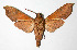  ( - 02-SRNP-35013)  @14 [ ] CreativeCommons - Attribution Non-Commercial Share-Alike (2003) Unspecified Guanacaste Dry Forest Conservation Fund