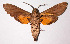  ( - 02-SRNP-35035)  @14 [ ] CreativeCommons - Attribution Non-Commercial Share-Alike (2003) Unspecified Guanacaste Dry Forest Conservation Fund