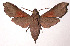  ( - 02-SRNP-3900)  @14 [ ] CreativeCommons - Attribution Non-Commercial Share-Alike (2003) Unspecified Guanacaste Dry Forest Conservation Fund