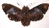  ( - 02-SRNP-7150)  @14 [ ] CreativeCommons - Attribution Non-Commercial Share-Alike (2003) Unspecified Guanacaste Dry Forest Conservation Fund