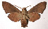  ( - 02-SRNP-7270)  @13 [ ] CreativeCommons - Attribution Non-Commercial Share-Alike (2003) Unspecified Guanacaste Dry Forest Conservation Fund