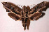 ( - 83-SRNP-85)  @14 [ ] CreativeCommons - Attribution Non-Commercial Share-Alike (2003) Unspecified Guanacaste Dry Forest Conservation Fund