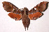  ( - 85-SRNP-376)  @15 [ ] CreativeCommons - Attribution Non-Commercial Share-Alike (2003) Unspecified Guanacaste Dry Forest Conservation Fund