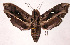  ( - 87-SRNP-1156)  @14 [ ] CreativeCommons - Attribution Non-Commercial Share-Alike (2003) Unspecified Guanacaste Dry Forest Conservation Fund
