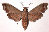  ( - 87-SRNP-1156)  @14 [ ] CreativeCommons - Attribution Non-Commercial Share-Alike (2003) Unspecified Guanacaste Dry Forest Conservation Fund