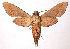  ( - 88-SRNP-203)  @14 [ ] CreativeCommons - Attribution Non-Commercial Share-Alike (2003) Unspecified Guanacaste Dry Forest Conservation Fund