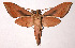  ( - 91-SRNP-1561)  @14 [ ] Unspecified (default): All Rights Reserved  Unspecified Unspecified