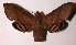  ( - 91-SRNP-2427)  @14 [ ] CreativeCommons - Attribution Non-Commercial Share-Alike (2003) Unspecified Guanacaste Dry Forest Conservation Fund