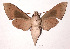  ( - 93-SRNP-1934)  @14 [ ] CreativeCommons - Attribution Non-Commercial Share-Alike (2003) Unspecified Guanacaste Dry Forest Conservation Fund