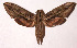  ( - 93-SRNP-1975)  @14 [ ] CreativeCommons - Attribution Non-Commercial Share-Alike (2003) Unspecified Guanacaste Dry Forest Conservation Fund