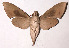 ( - 93-SRNP-2346)  @14 [ ] CreativeCommons - Attribution Non-Commercial Share-Alike (2003) Unspecified Guanacaste Dry Forest Conservation Fund