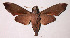  ( - 95-SRNP-4624)  @14 [ ] CreativeCommons - Attribution Non-Commercial Share-Alike (2003) Unspecified Guanacaste Dry Forest Conservation Fund