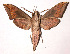  ( - 96-SRNP-10867)  @14 [ ] CreativeCommons - Attribution Non-Commercial Share-Alike (2003) Unspecified Guanacaste Dry Forest Conservation Fund