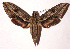  ( - 96-SRNP-11585)  @14 [ ] CreativeCommons - Attribution Non-Commercial Share-Alike (2003) Unspecified Guanacaste Dry Forest Conservation Fund