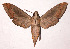  ( - 96-SRNP-11585)  @14 [ ] CreativeCommons - Attribution Non-Commercial Share-Alike (2003) Unspecified Guanacaste Dry Forest Conservation Fund